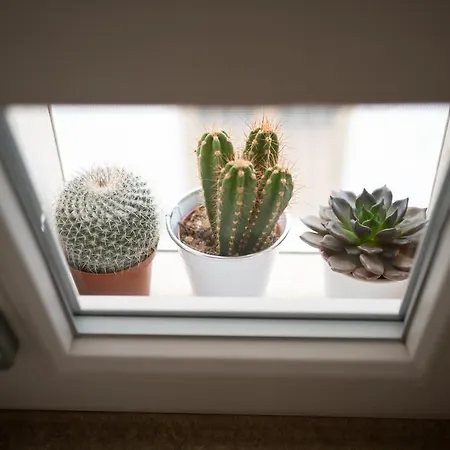 Casa La Zagara Моттола